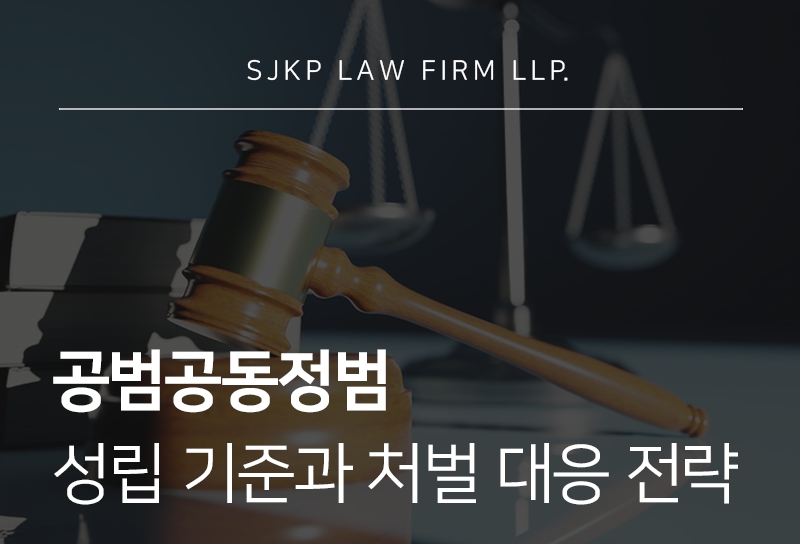 공범공동정범 성립 기준과 처벌 대응법