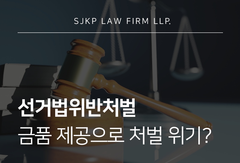 선거법위반처벌