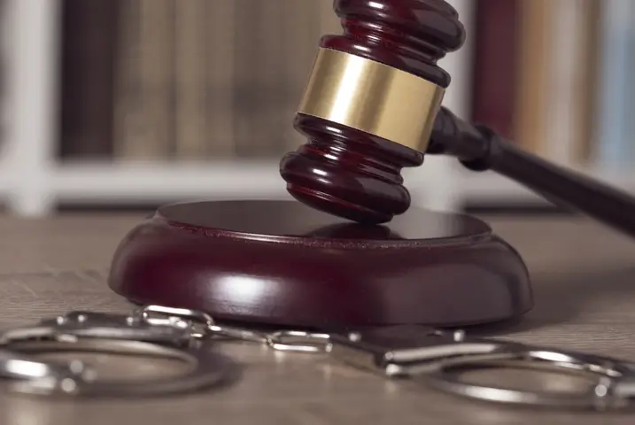 집행유예취업 개념과 의미, 취업 영향