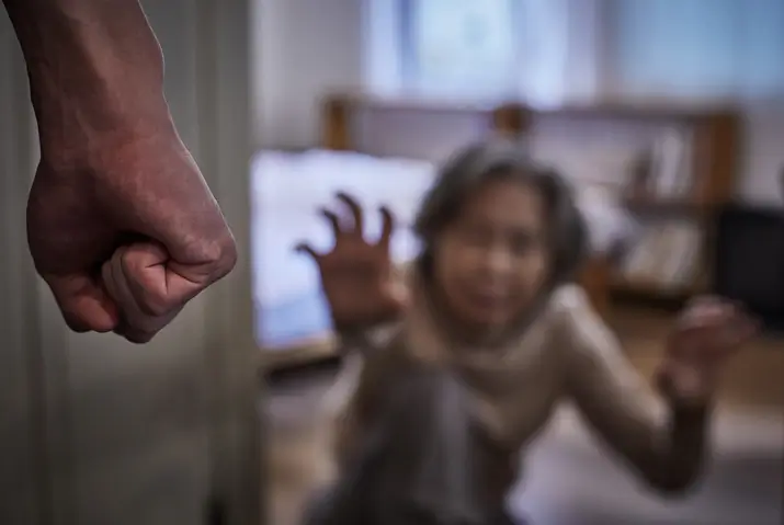 노인학대처벌 정의와 유형