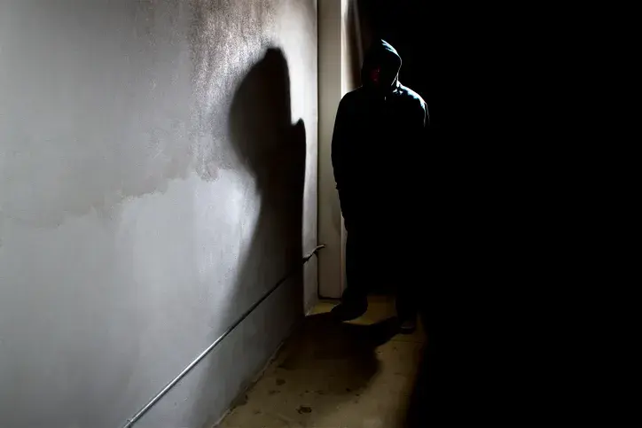 범인은닉죄 개념과 벌금형 이상의 범죄