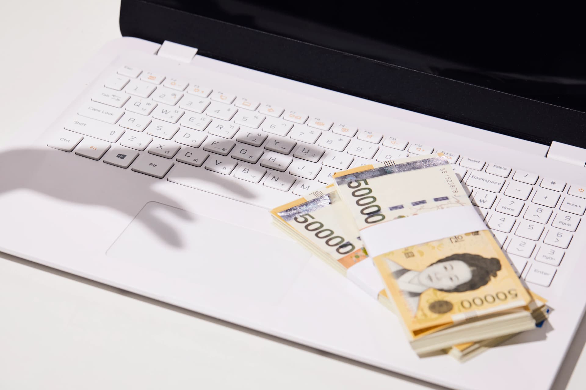 보이스피싱수거책 혐의 의뢰인 조력 사항