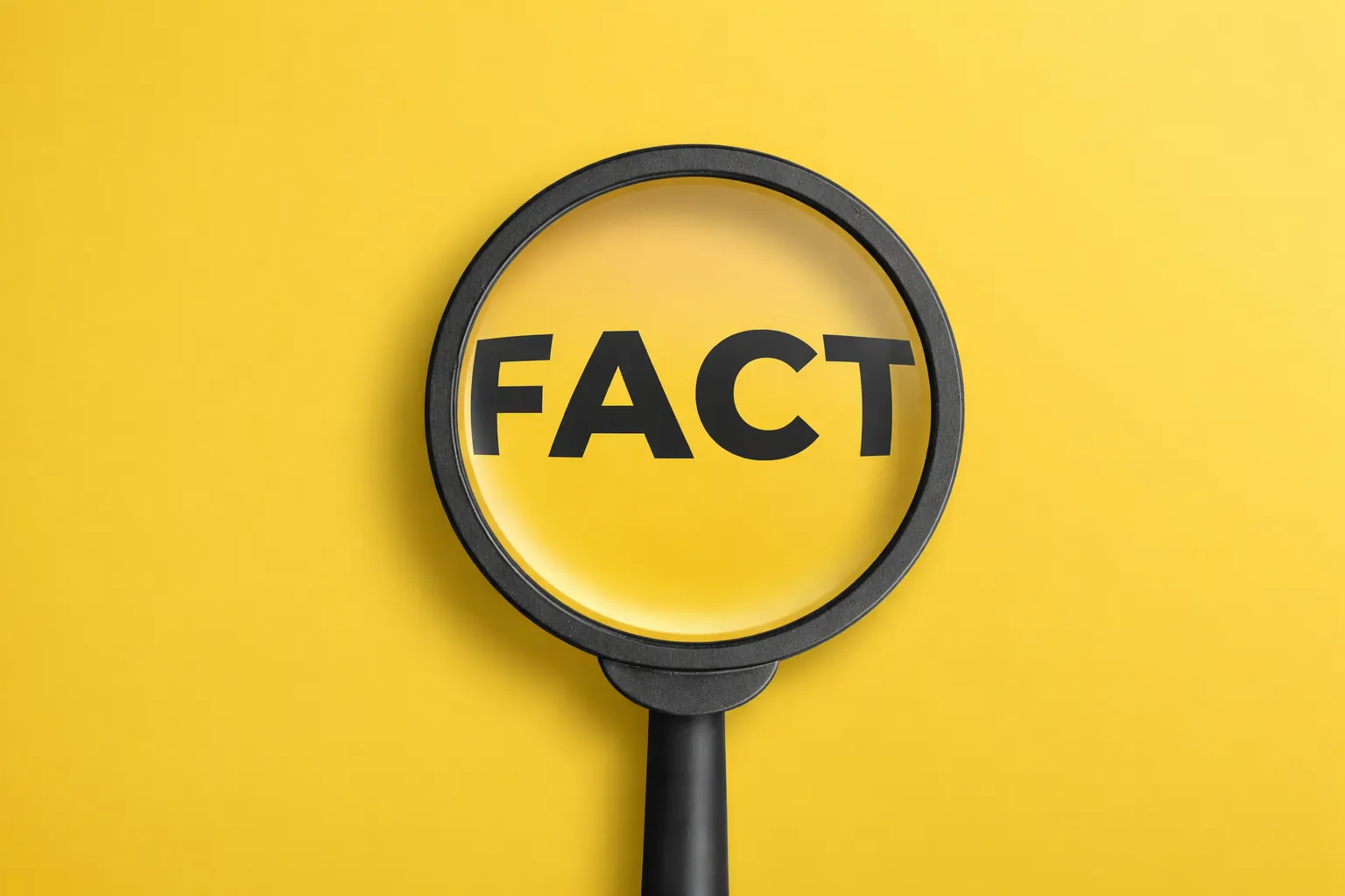 무고죄벌금 무고죄징역 증거 검토 형량