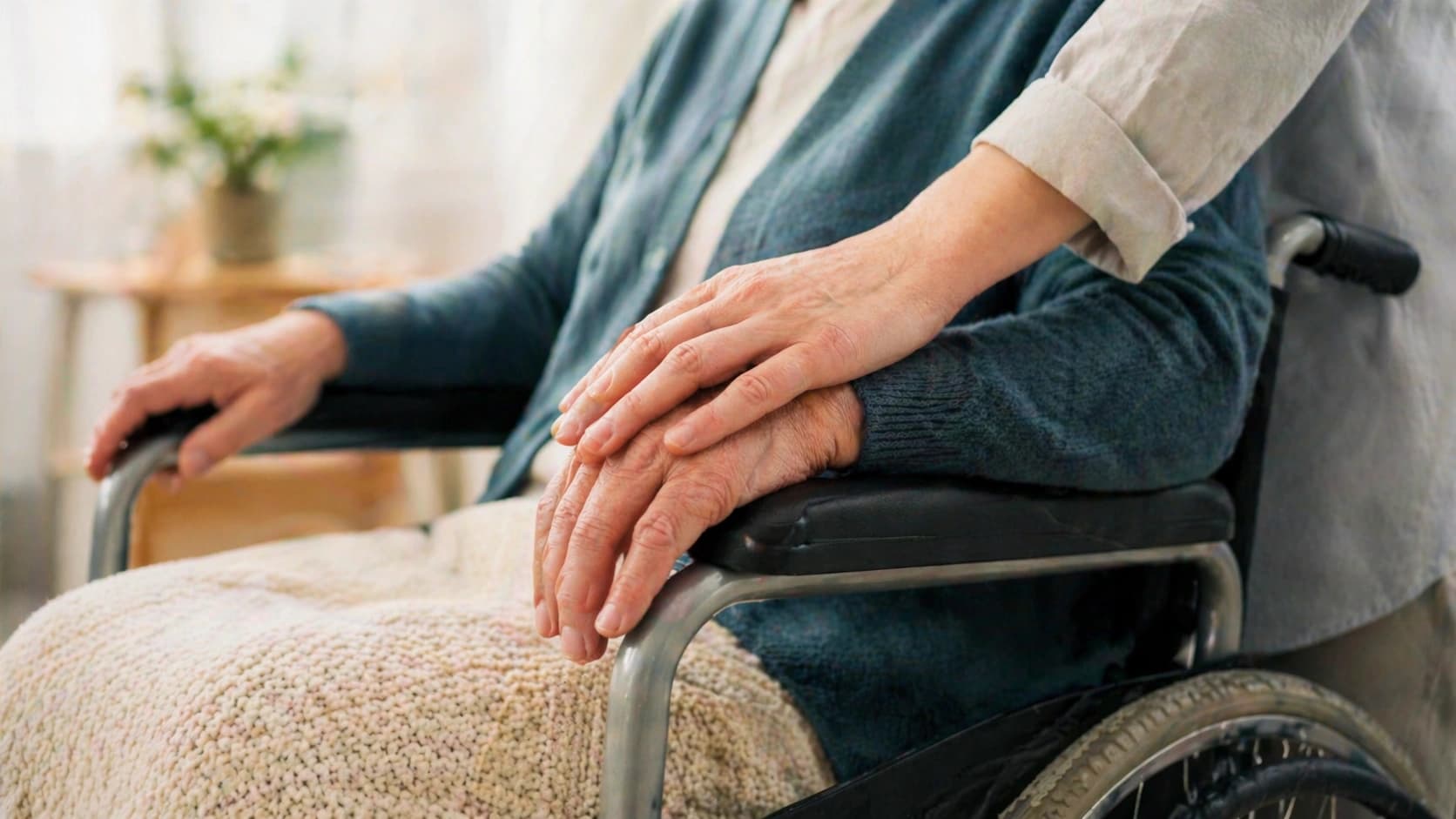 노인학대 노인학대신고 시설 종사자 취업제한