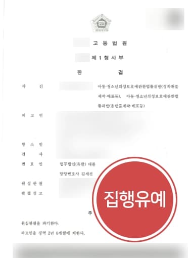 [사이버성범죄 방어성공] 형사전문변호사, 아청법위반 성작취물 판매·소지 항소심 집행유예 성공 !