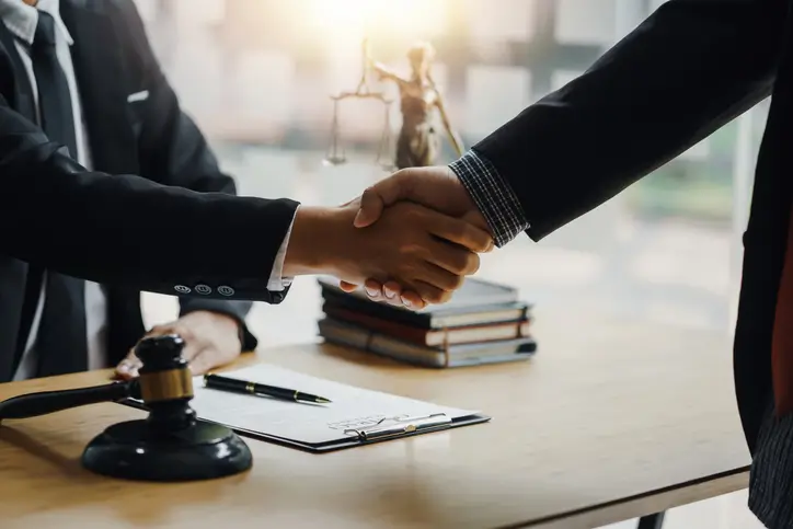 법무법인 대륜 횡령변호사 점유이탈물횡령죄 기소유예 처분으로 사건 마무리