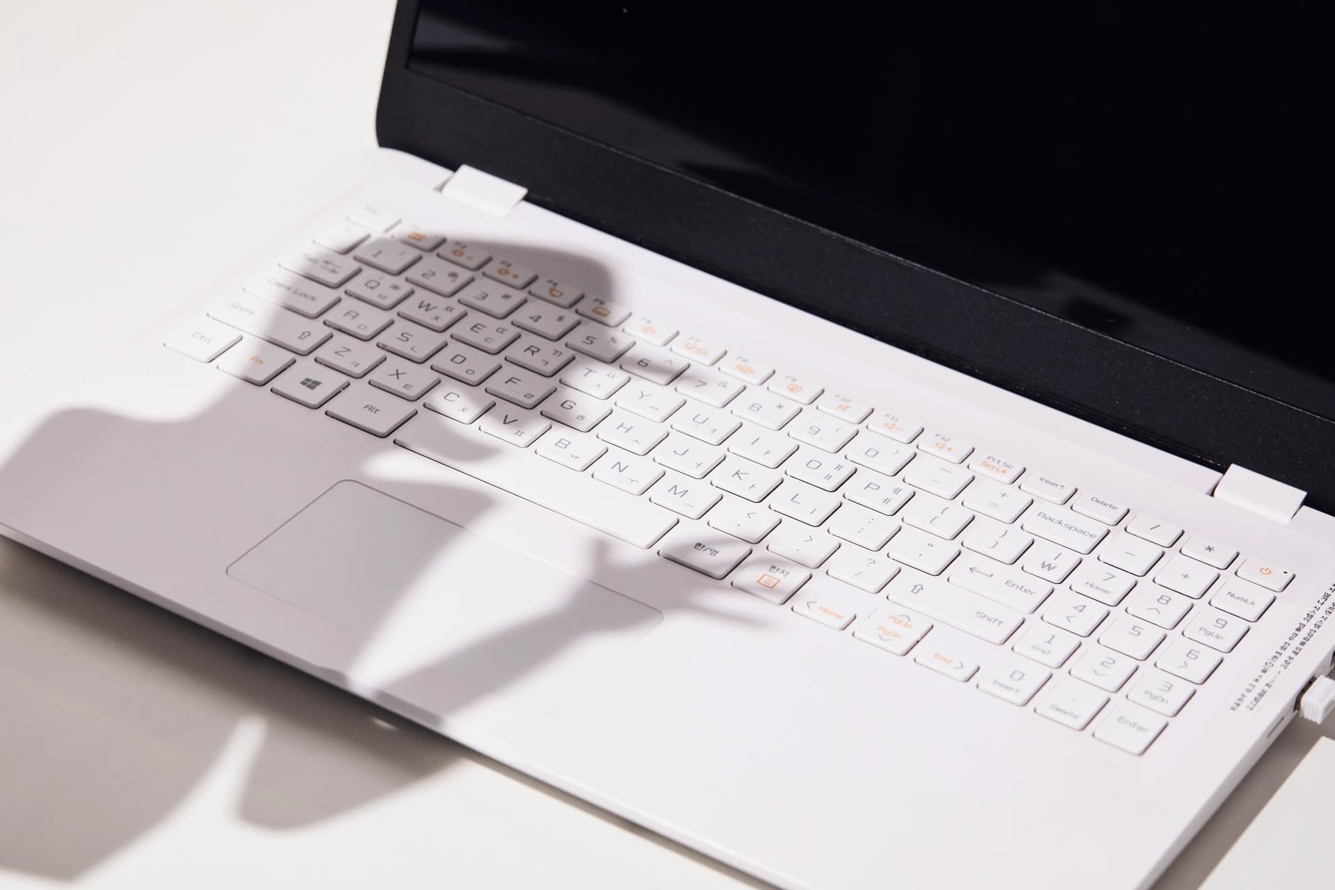 보이스피싱피해구제 방법 이해 내용 정리