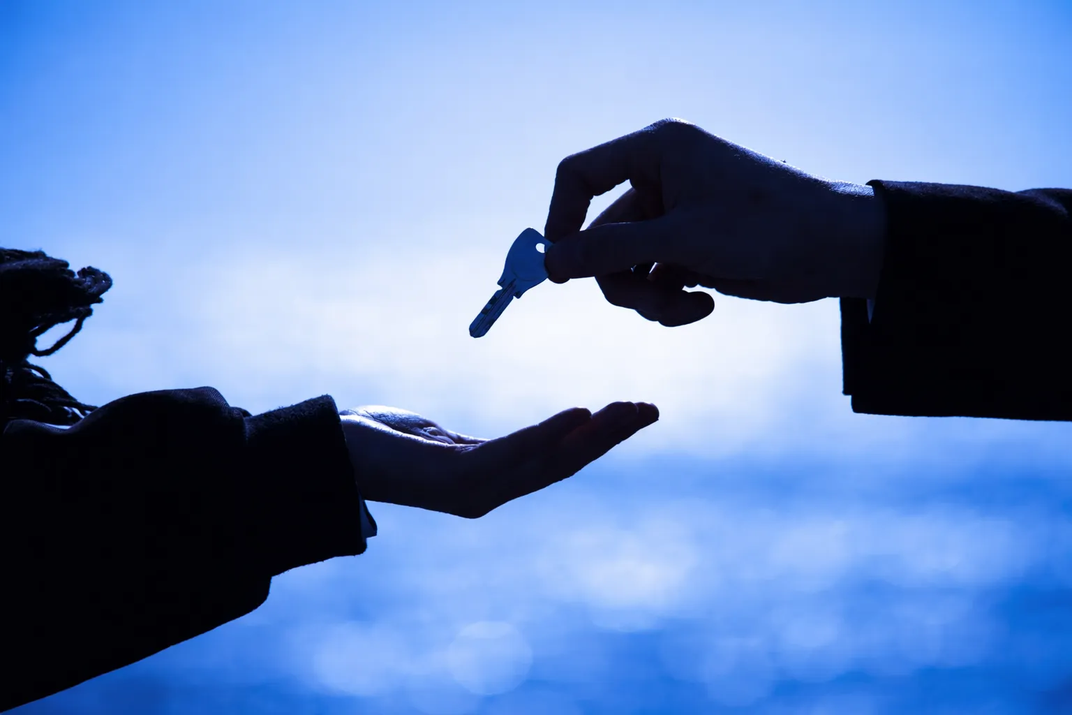 보이스피싱변호사, 수거책 및 송금책의 역할