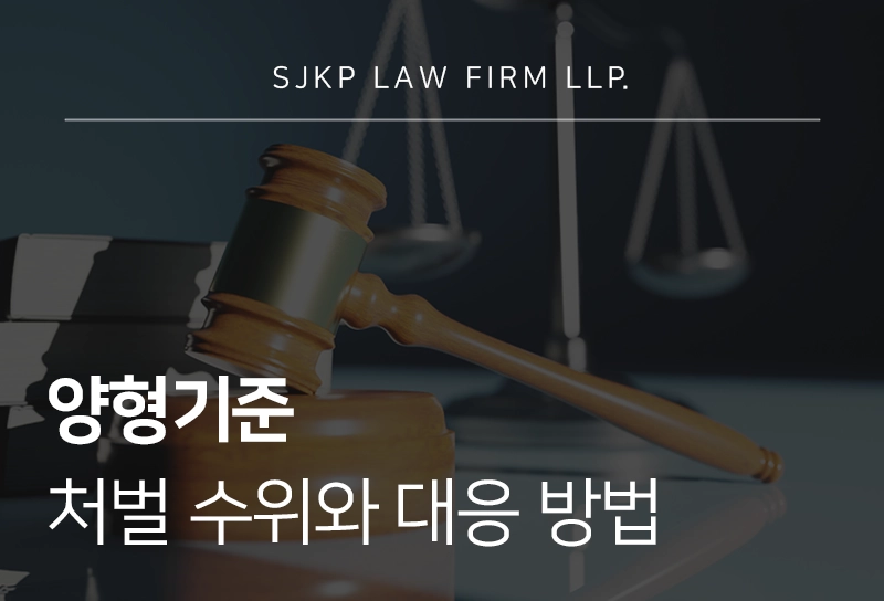 양형기준 처벌 수위와 대응 방법