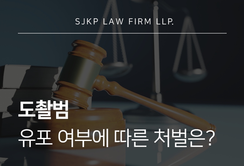 도촬범