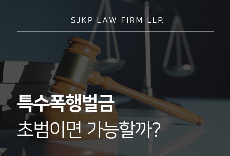 특수폭행벌금