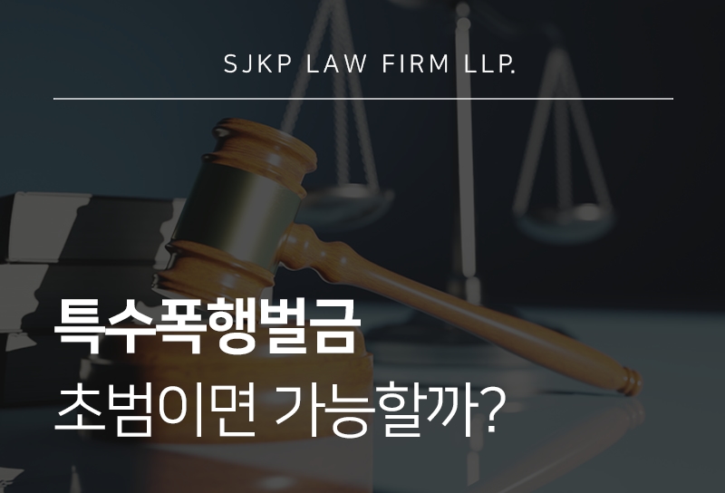 특수폭행벌금